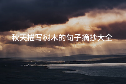秋天描写树木的句子摘抄大全