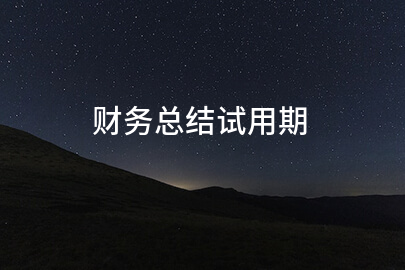 财务总结试用期