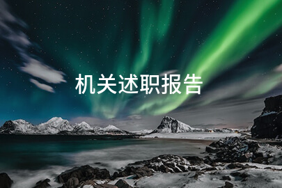 机关述职报告