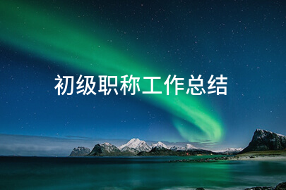 初级职称工作总结