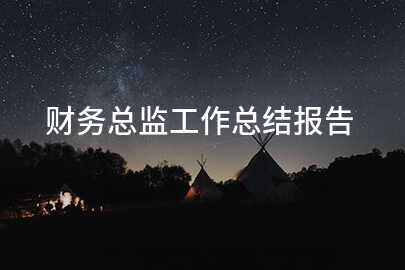 财务总监工作总结报告