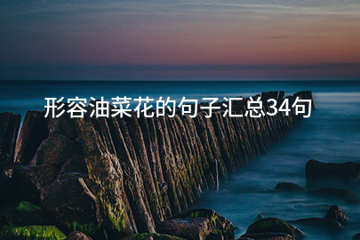 形容油菜花的句子汇总34句