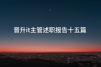 晋升it主管述职报告十五篇