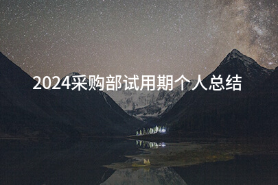 2024采购部试用期个人总结
