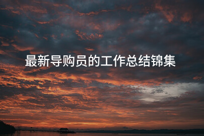 最新导购员的工作总结锦集