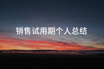 销售试用期个人总结