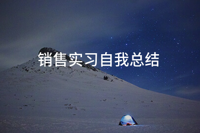 销售实习自我总结