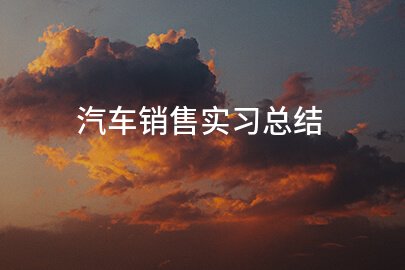 汽车销售实习总结(必备14篇)