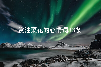 赏油菜花的心情词33条