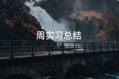 周实习总结(精选5篇)