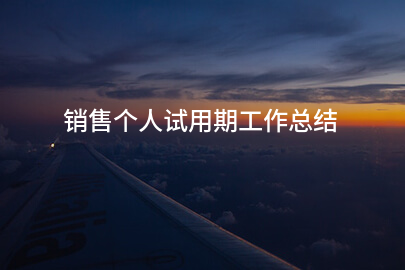 销售个人试用期工作总结