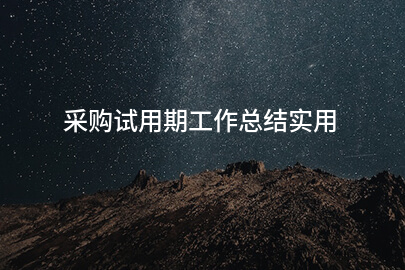 采购试用期工作总结实用