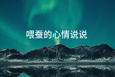 喂蚕的心情说说