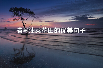 描写油菜花田的优美句子(31句)