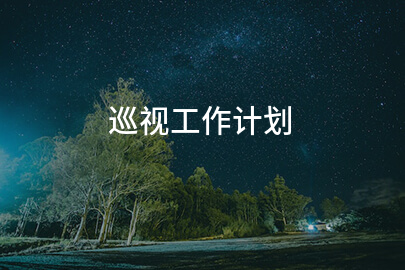 巡视工作计划