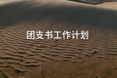 团支书工作计划