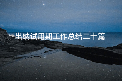 出纳试用期工作总结二十篇