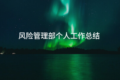 风险管理部个人工作总结