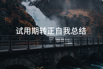 试用期转正自我总结
