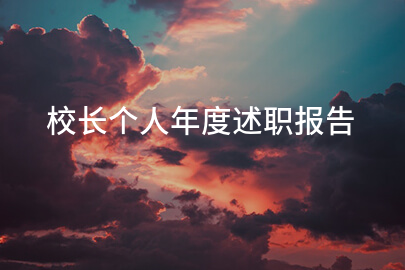 校长个人年度述职报告