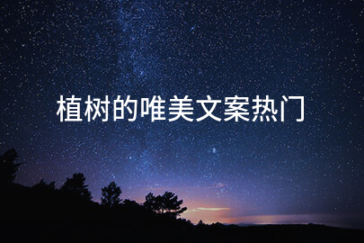 植树的唯美文案热门