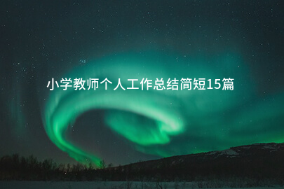 小学教师个人工作总结简短15篇