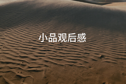 小品观后感