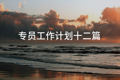 专员工作计划十二篇