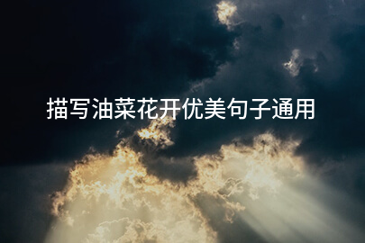 描写油菜花开优美句子通用(35句)