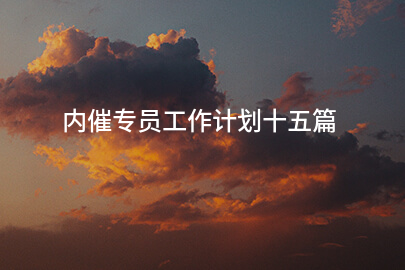 内催专员工作计划十五篇