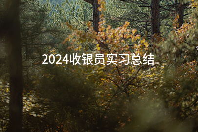 2024收银员实习总结(汇集十三篇)