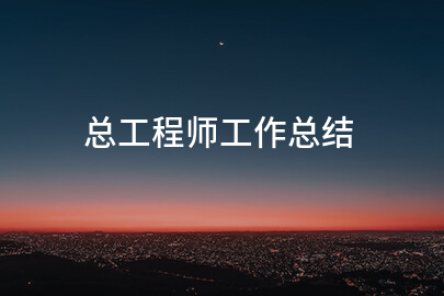 总工程师工作总结