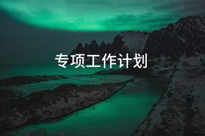 专项工作计划