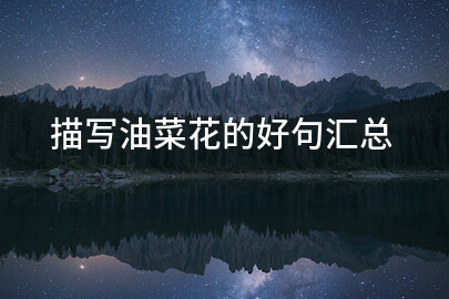 描写油菜花的好句汇总（38句）