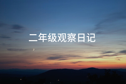 二年级观察日记