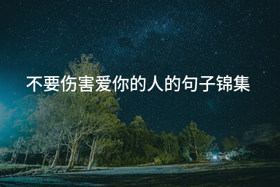 不要伤害爱你的人的句子锦集