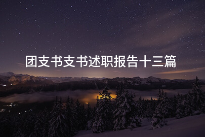 团支书支书述职报告十三篇