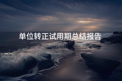 单位转正试用期总结报告
